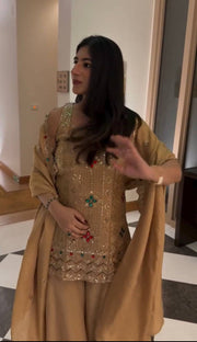 Cultural Charm Exquisite Indian Wear for Women