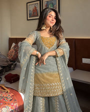 Luxe Grey Embroidered Net Suit Experience