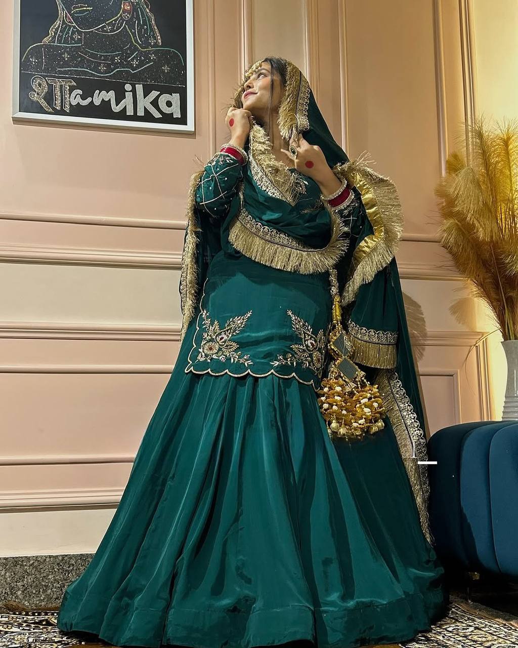 Regal Zari and Stone Embellished Hand work.