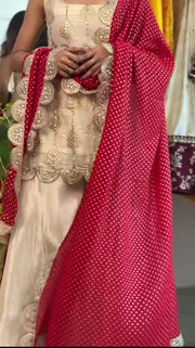 Timeless Beauty in Vibrant Attire