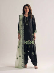 Lavish Heritage Embroidered Suit Set
