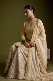 Graceful Ethnic Wear for Memorable Events